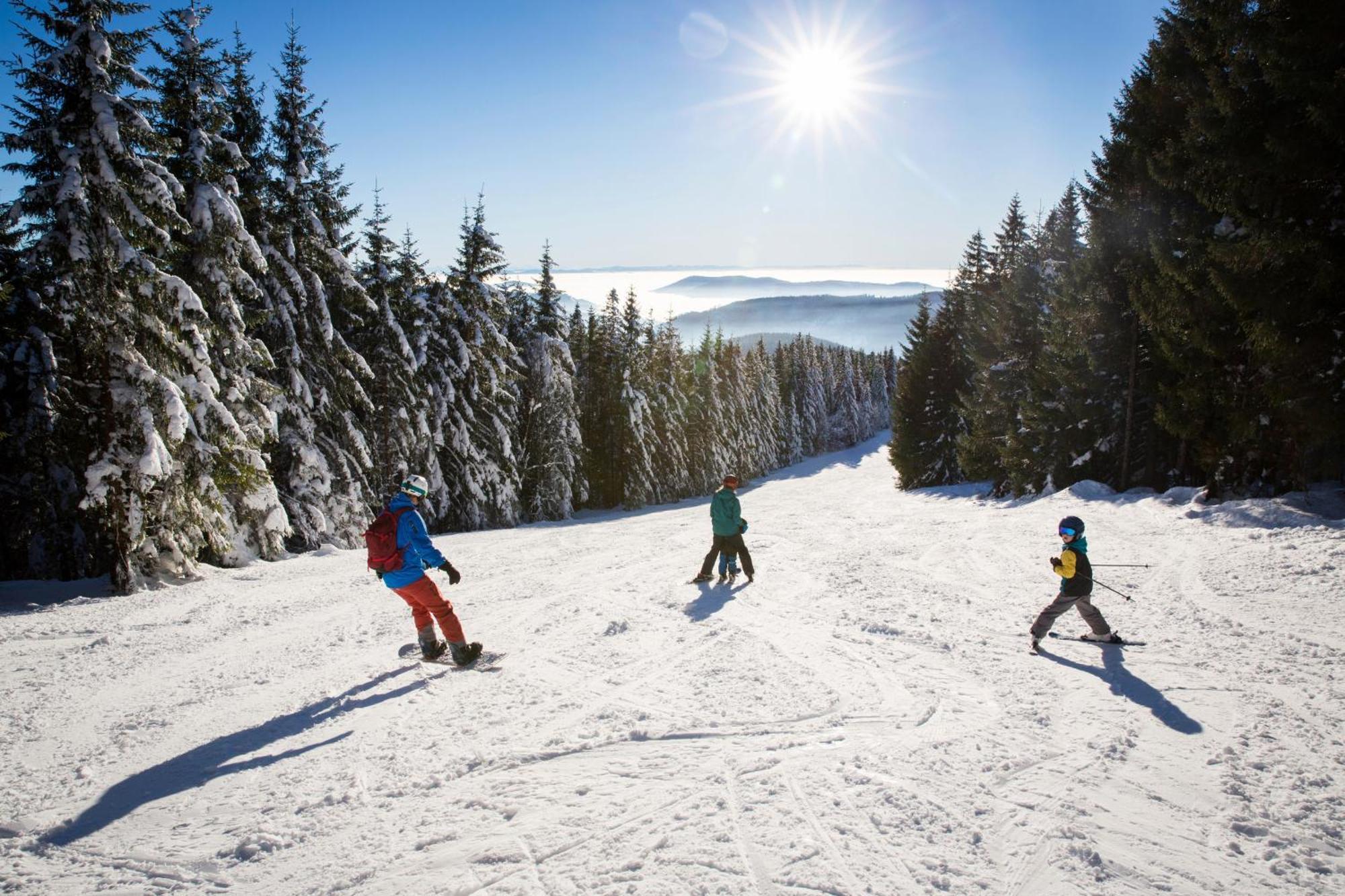 Haus Wiesenquelle - Fewo 14 "Timeout", Feldberg Rinken Eksteriør billede